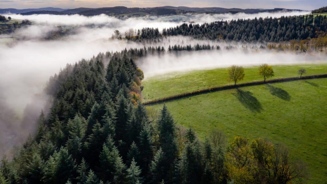 Parc naturel régional du Morvan